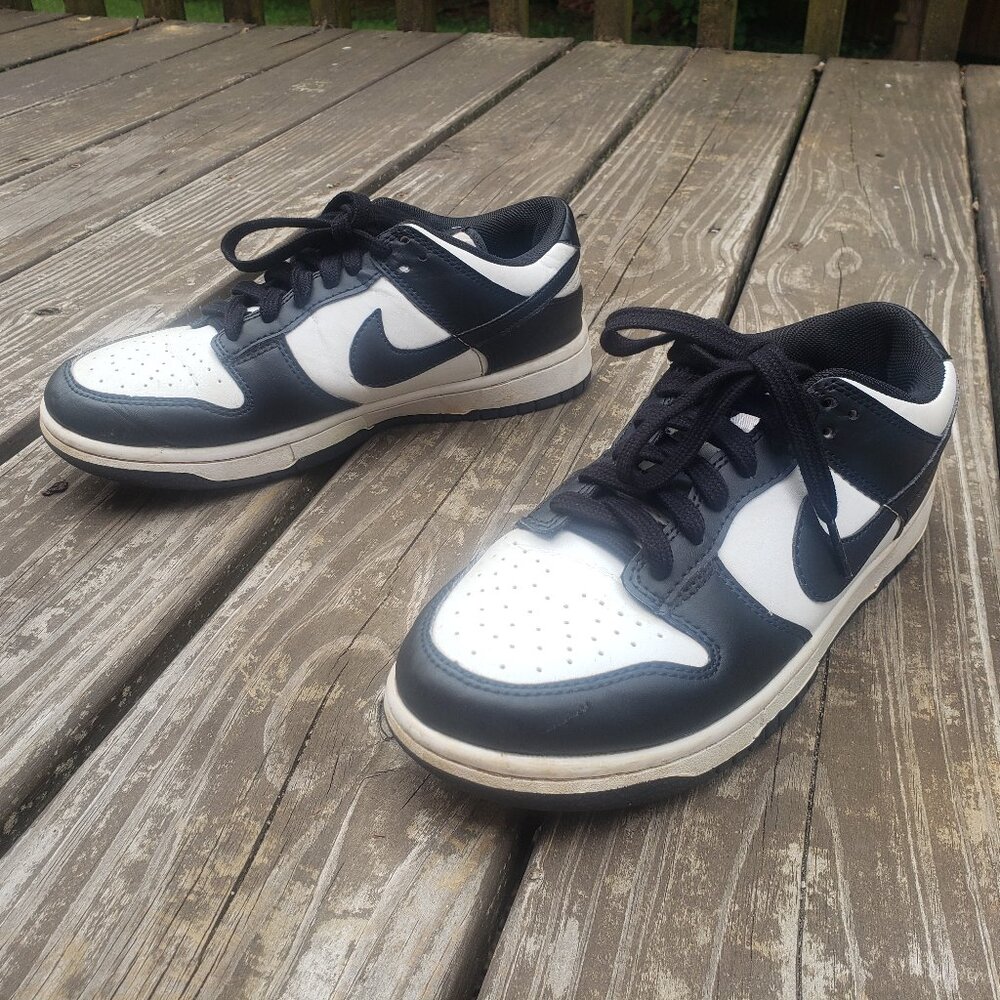 Nike Dunk Low Retro men's size 7